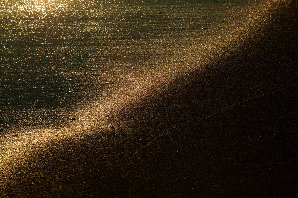 Złote światło wschodzącego słońca odbijające się od mokrej plaży | fot. Marcin Skrobisz