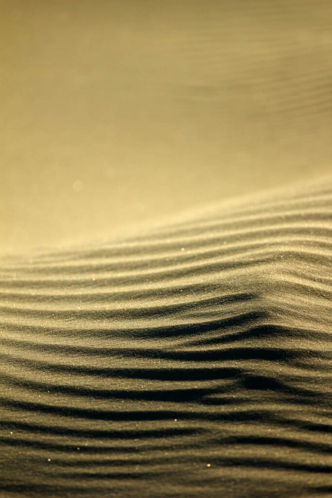 Fale i faktura piasku uformowane przez wiatr w świetle zachodzącego słońca | fot. Marcin Skrobisz