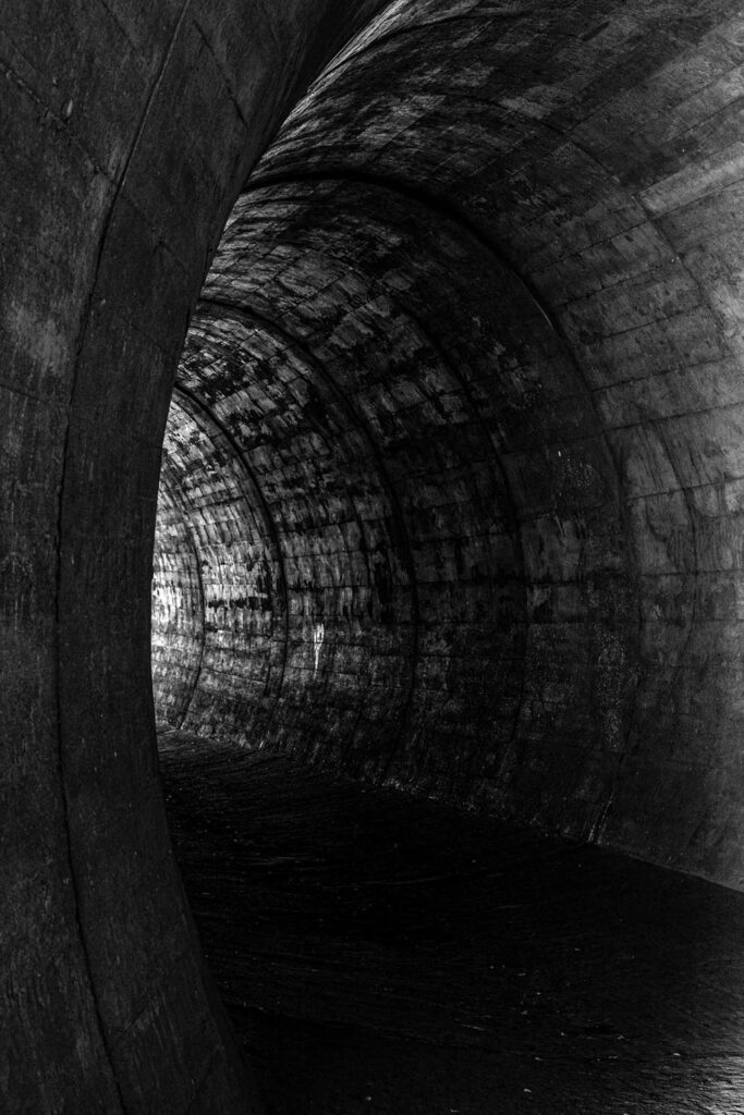 Zakrzywiony tunel w Dolinie Chłapowskiej uchwycony w czarno-białej stylistyce | fot. Marcin Skrobisz